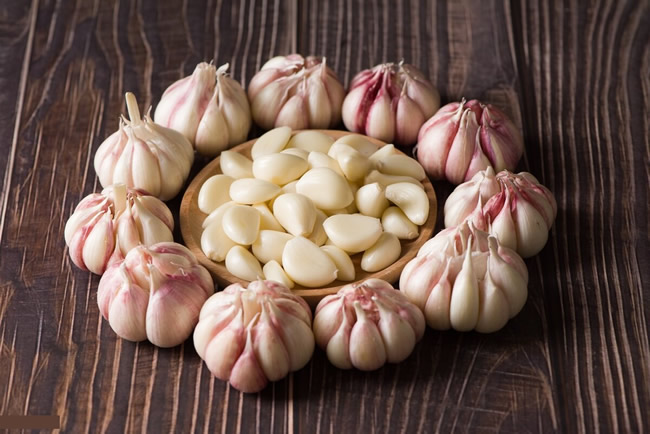 大蒜冷庫多少錢一平方？大蒜保鮮冷庫建造溫度及造價