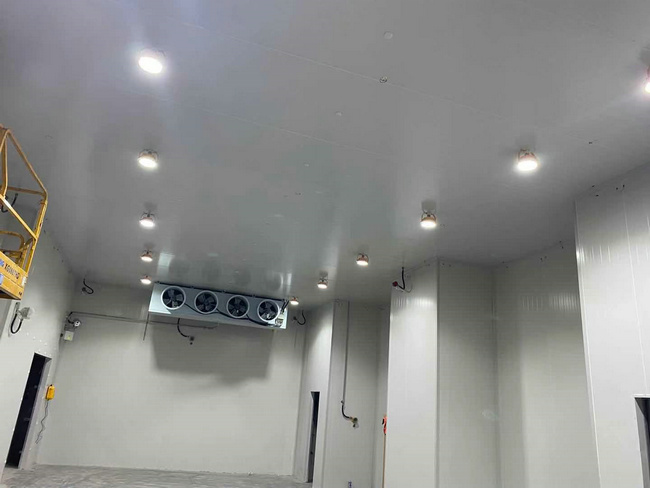 建個存放10噸貨物的冷庫大概需要多少錢？